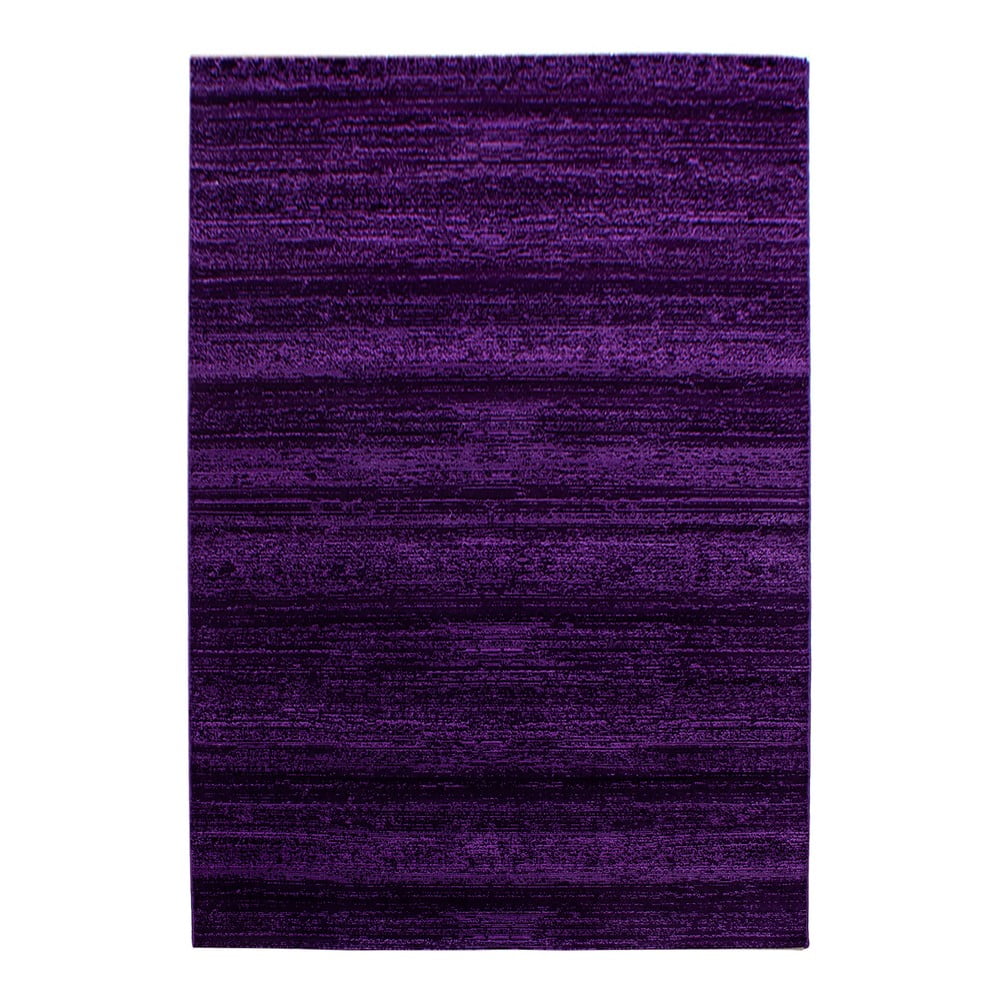 Sötétlila szőnyeg 80x150 cm Plus – Ayyildiz Carpets
