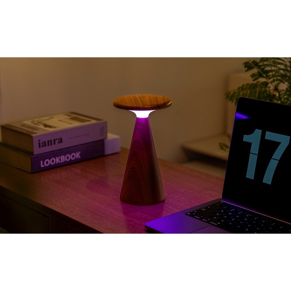 Sötét natúr színű LED asztali lámpa fa búrával (magasság 21 cm) Sylva – Gingko