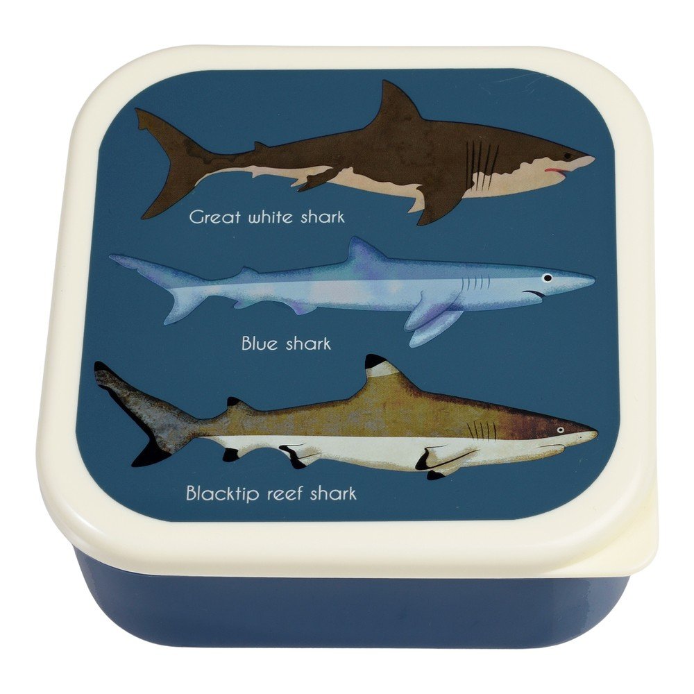 Sötétkék gyerek uzsonnás doboz szett 3 db-os Sharks – Rex London