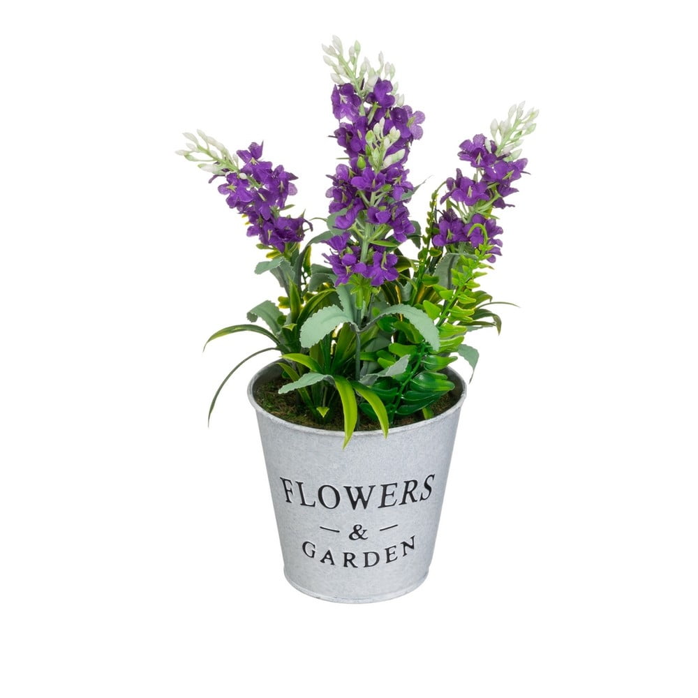 Levendula műnövény (magasság 30 cm) Lavender – Casa Selección