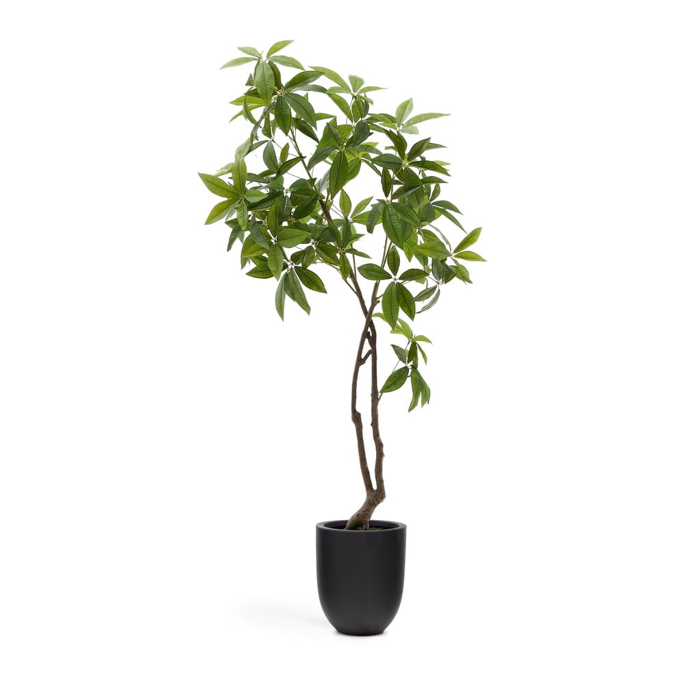 Műnövény (magasság 180 cm) Pachira – Kave Home