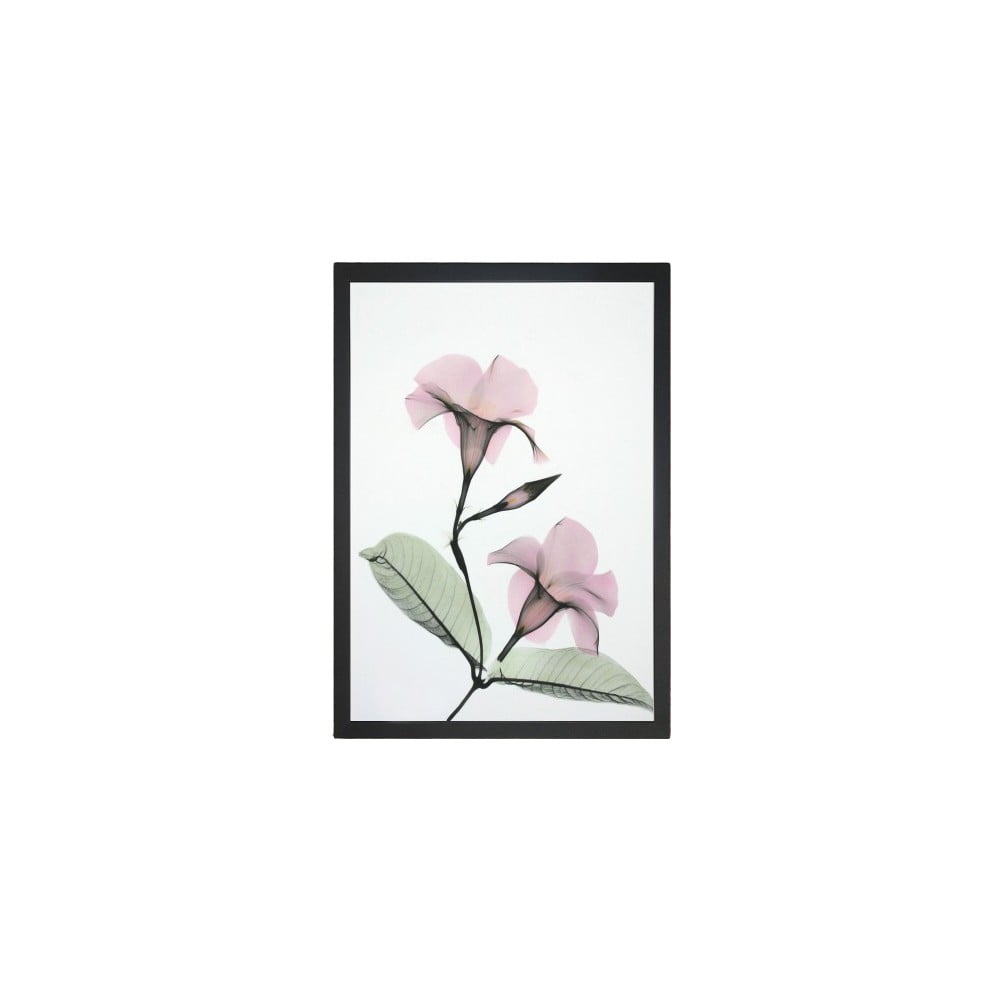 Kép 24x29 cm Green Branch – Vavien Artwork