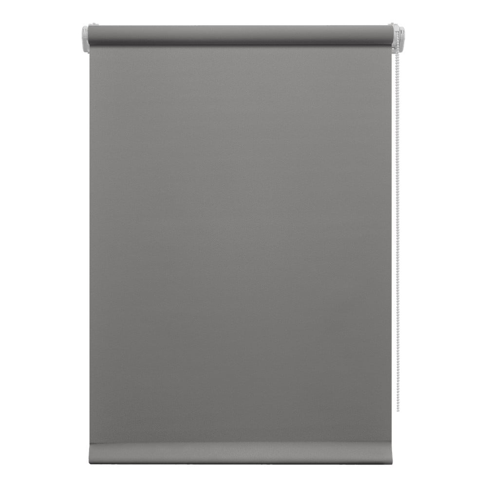 Sötétszürke roló 97x150 cm Mini Relax – Gardinia